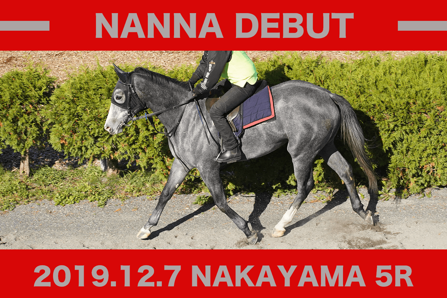 NANNA2-2