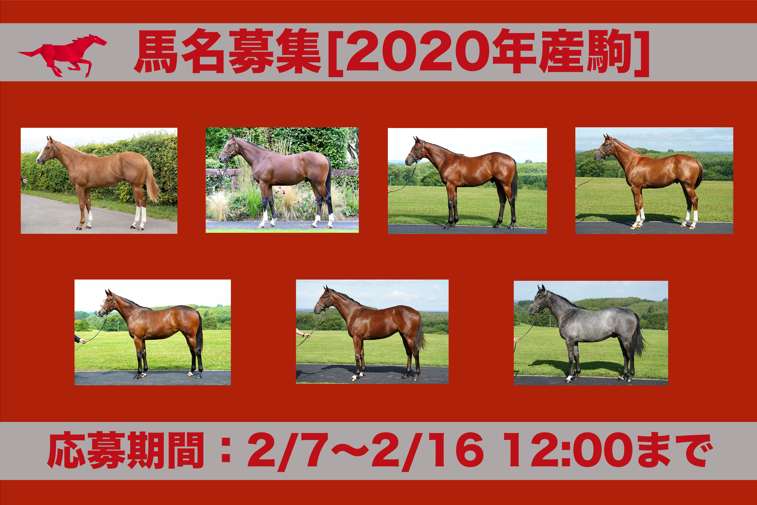 2020年産・馬名投票について（3/18発表）