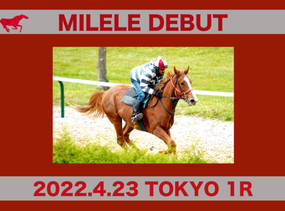 debut Milele