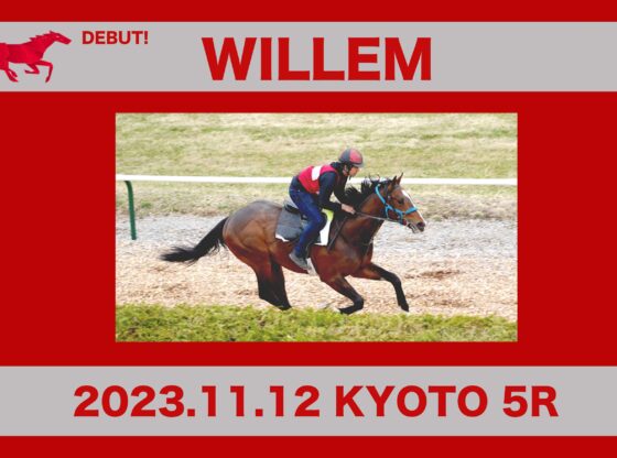 Willem-min